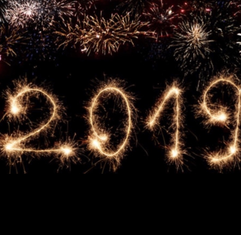 Bulldogs Set 2019 New Years Resolutions