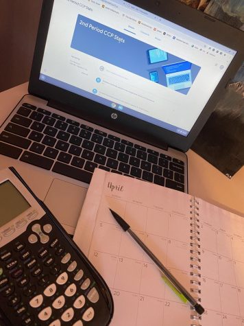 Lakeview Students Surviving Virtual School
