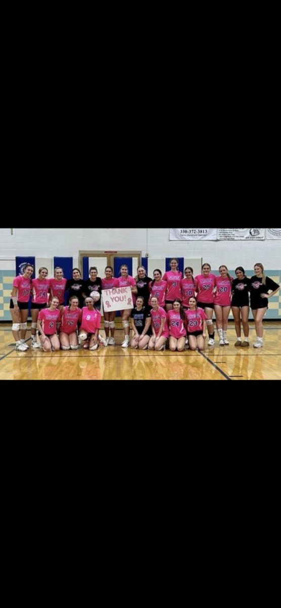 Lakeview Volleyball Digs Pink Promoting Breast Cancer Awareness