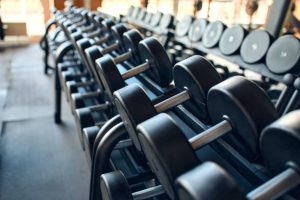 Sports equipment in the gym. Dumbbells of different weights on a shelf. Active healthy lifestyle and sports.