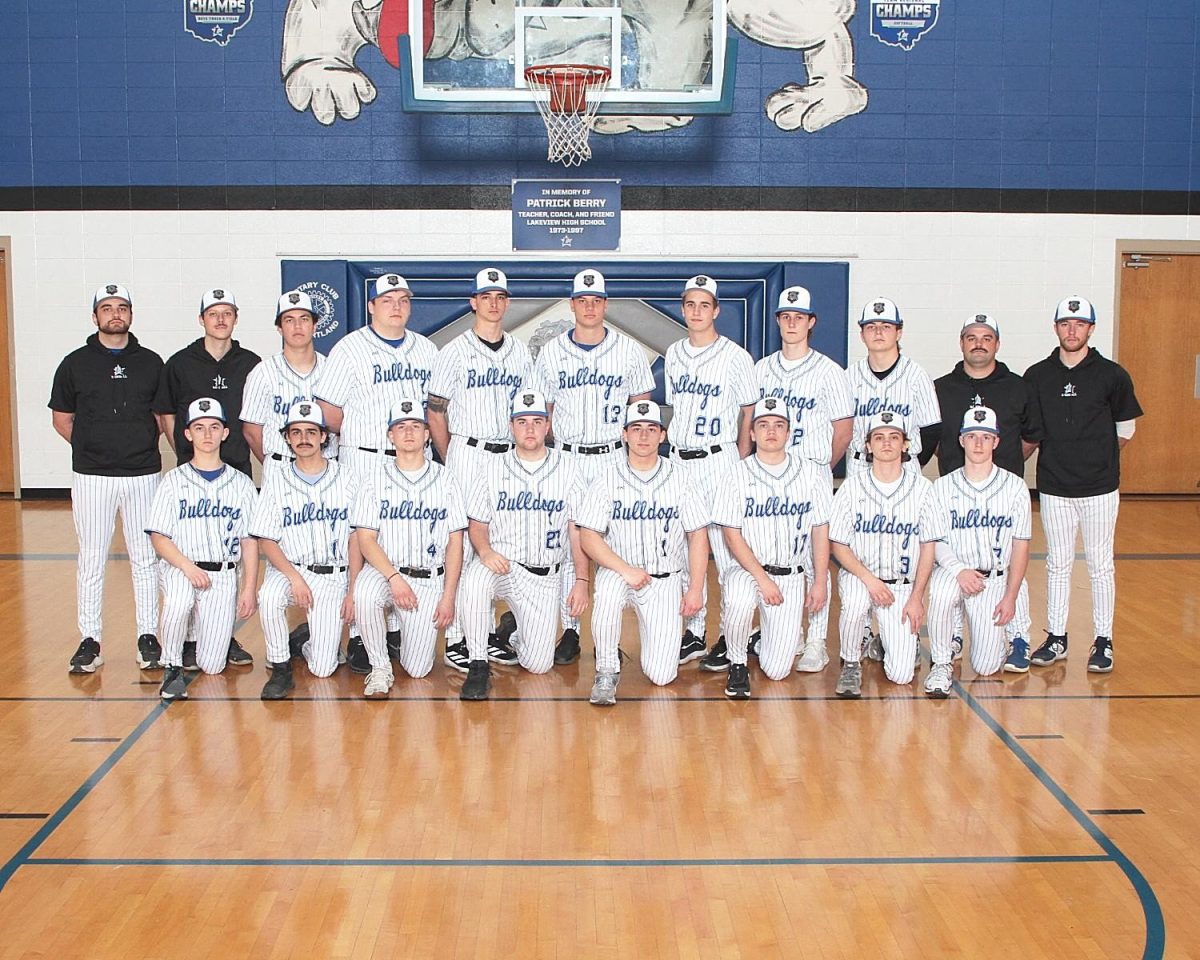 Lakeview is Dominating on the Diamond