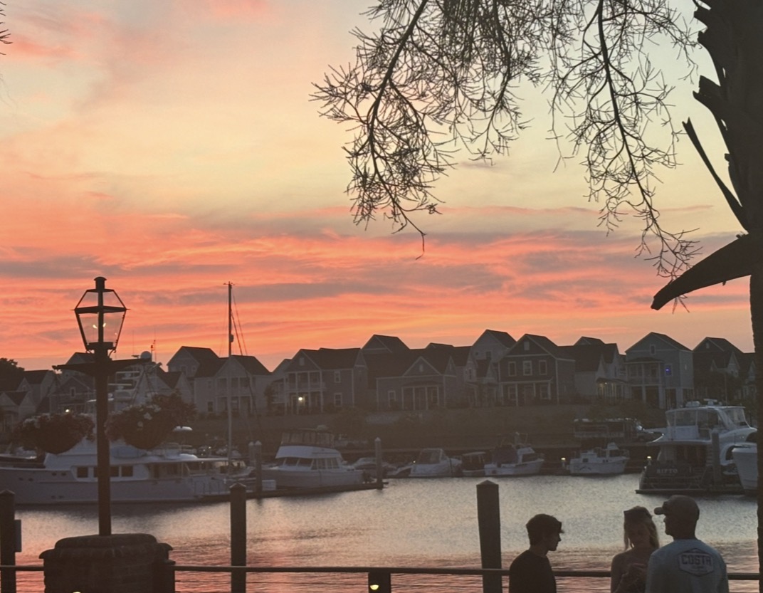 Spring Break Recap: How Lakeview Bulldogs Spent Their Time Off